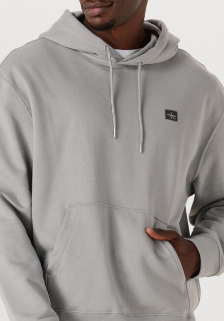 Graue CALVIN KLEIN Sweatshirt LS EU BADGE 350 TERRY HOODIE - large