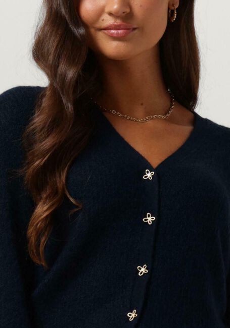 Blaue FABIENNE CHAPOT Strickjacke STELLA CARDIGAN 64 - large