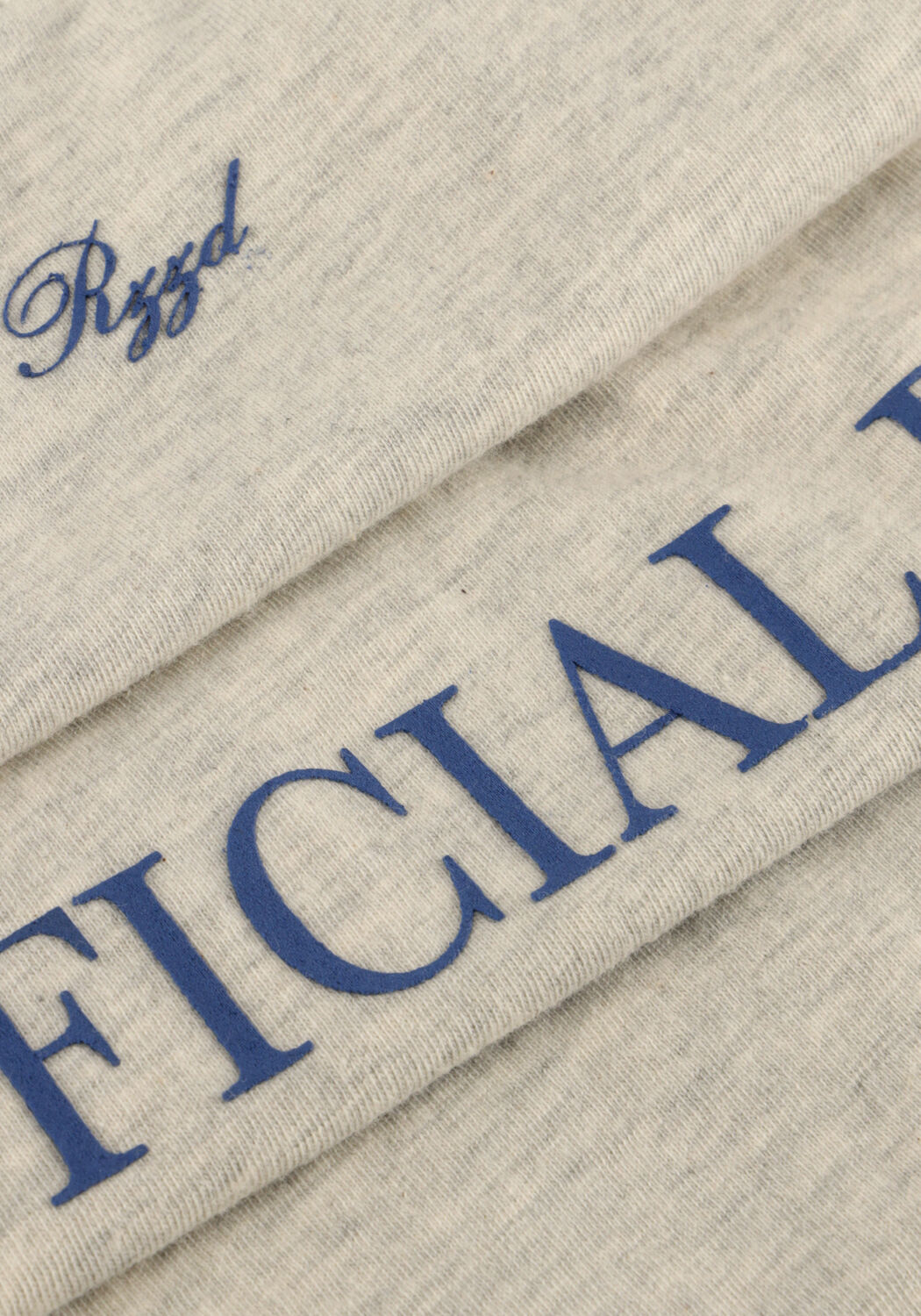 Hellgrau RAIZZED T-shirt HOFFICIAL - large