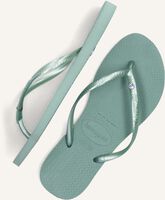 Grüne HAVAIANAS Zehentrenner SLIM CRYSTAL SW II Grüne HAVAIANAS Zehentrenner SLIM CRYSTAL SW II - medium