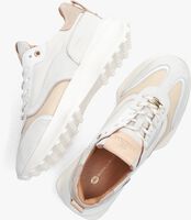Beige FRED DE LA BRETONIERE Sneaker low 101010471 - medium