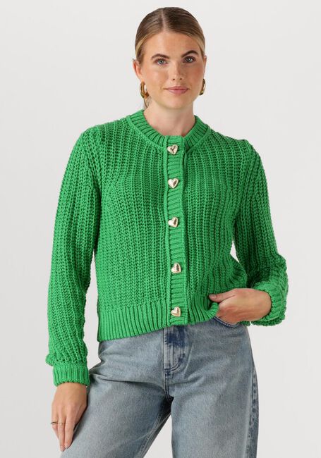 Grüne FABIENNE CHAPOT Strickjacke SUN CARDIGAN - large