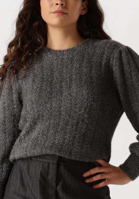 Graue AAIKO Pullover FEMME PES 377 - large