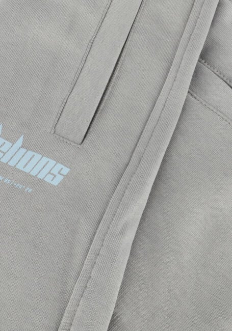 Graue MALELIONS Kurze Hose WORLDWIDE SHORTS - large