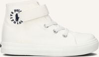 Beige POLO RALPH LAUREN Sneaker High FORRESTER HI PS Beige POLO RALPH LAUREN Sneaker High FORRESTER HI PS - medium