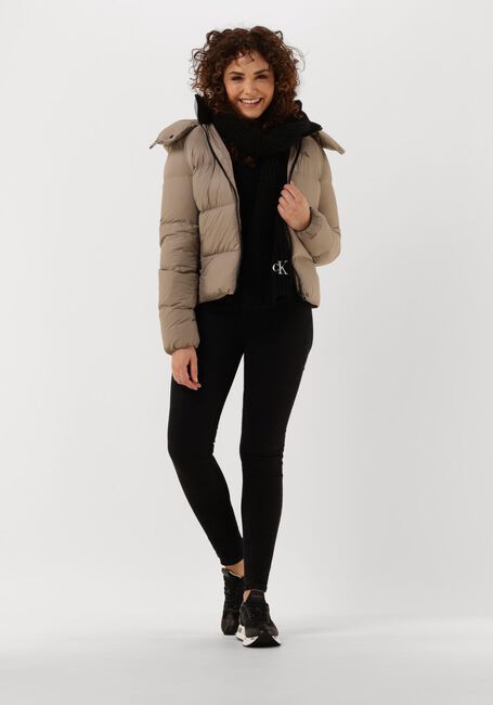 Taupe CALVIN KLEIN Wattierte Jack CK MW DOWN SHORT PUFFER - large