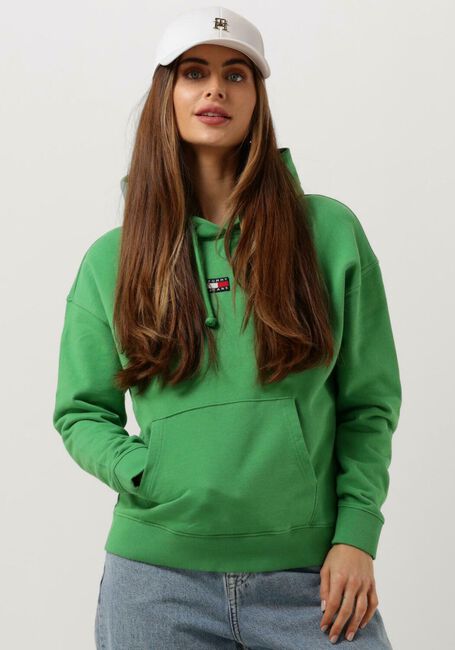 Grüne TOMMY JEANS Pullover TJW XS BADGE HOODIE - large