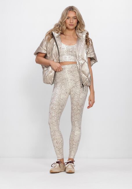 Braune DEBLON SPORTS Legging CLASSIC LEGGINGS HIGH WAISTBAND 2 - large