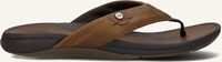 Braune REEF Zehentrenner PACIFIC Braune REEF Zehentrenner PACIFIC - medium
