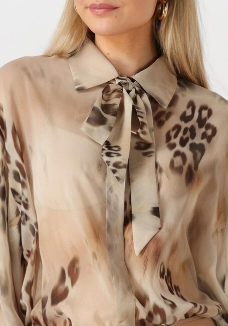 Beige ACCESS Blusen 53-7014-019 - large