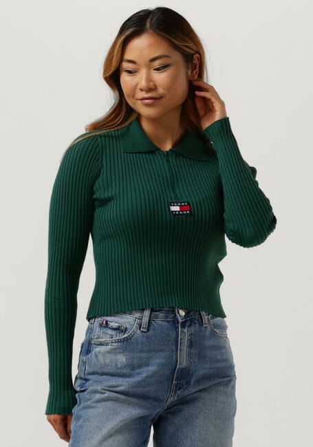 Grüne TOMMY JEANS Pullover SWEATERS HALF ZIPP - large