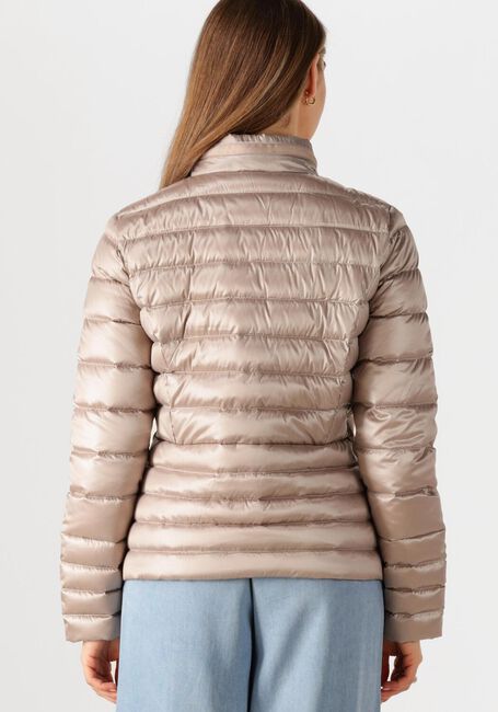 Bronzefarbig BEAUMONT Jack LILA JACKET - large