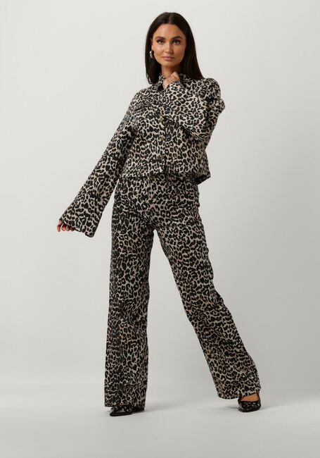 Braune HARPER & YVE Jack LEXIE-JA - large