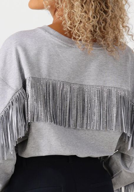 Hellgrau CO'COUTURE Pullover STUDCC FRINGE SWEAT - large