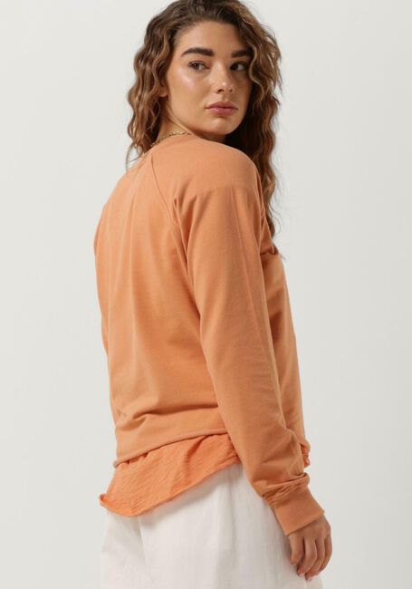Orangene 10DAYS Pullover CROPPED ICON SWEATER - large