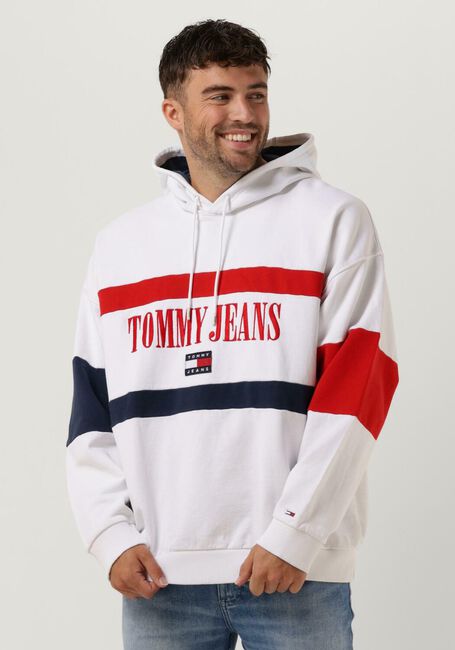 Mehrfarbige/Bunte TOMMY JEANS Sweatshirt TJM SKATER ARCHIVE BLOCK HOODIE - large