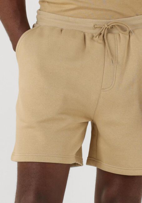 Sand TOMMY JEANS Kurze Hose TJM S FLAG BEACH SHORT EXT - large
