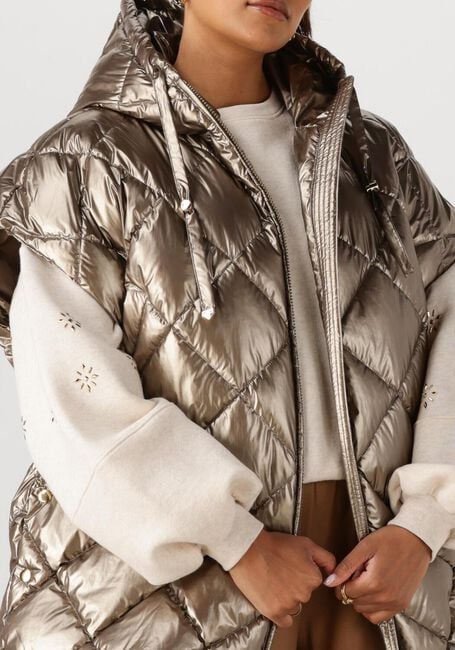 Metallisch NUKUS Wattierte Jack WILLOW JACKET METALLIC - large