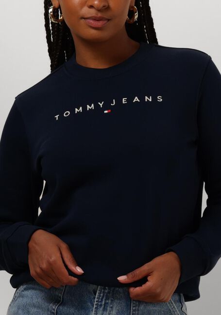 Blaue TOMMY JEANS Pullover TJW REG LINEAR CREW - large