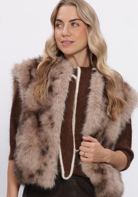 Braune BEAUMONT Gilet LUCINDA GILET - large