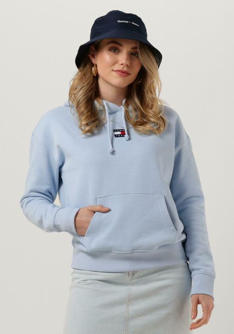 Hellblau TOMMY JEANS Sweatshirt TJW TOMMY CENTER BADGE HOODIE - large