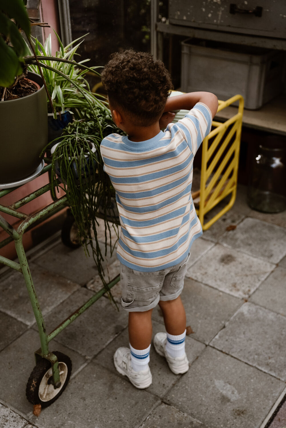 Hellgrau DAILY7 Kurze Hosen DENIM SHORT - large