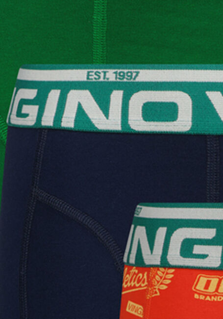 Mehrfarbige/Bunte VINGINO Unterw&auml;sche SPORTS 7-PACK - large