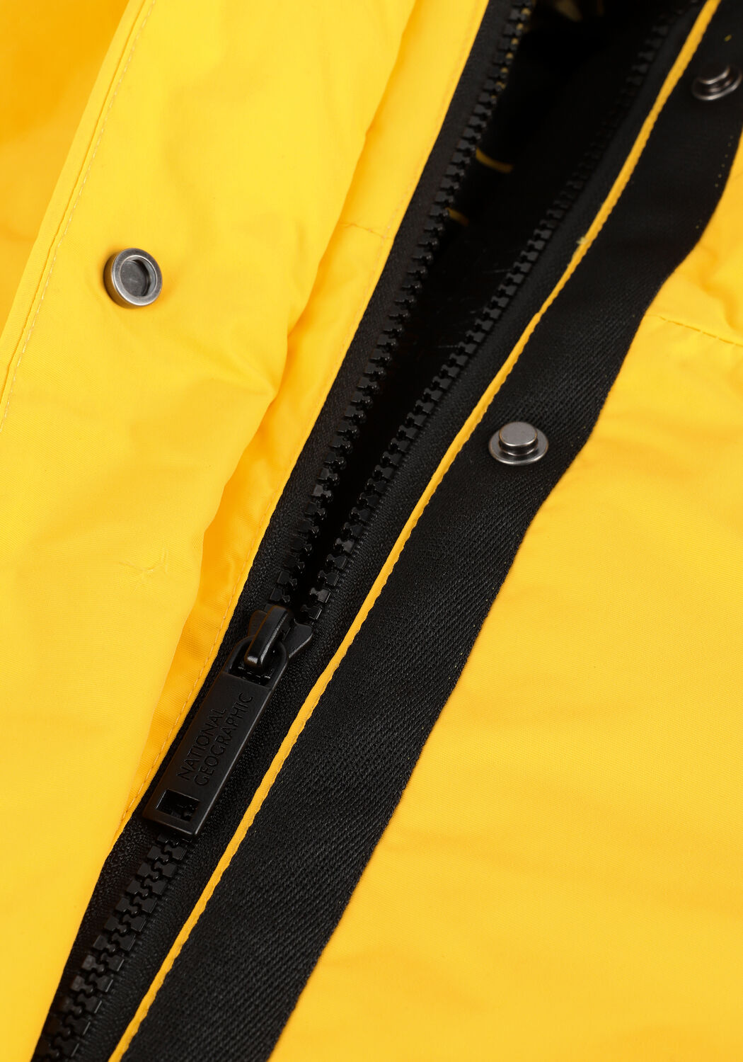 Gelbe NATIONAL GEOGRAPHIC Parkas HOODED COAT WOMEN - large