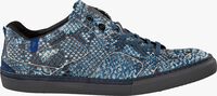 Blaue FLORIS VAN BOMMEL Sneaker low 14422 - medium