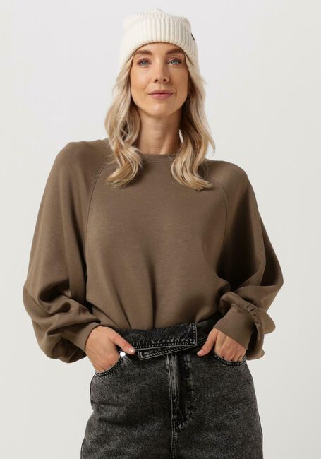 Braune MSCH COPENHAGEN Sweatshirt BIANNA IMA Q RAGLAN SWEATSHIRT - large