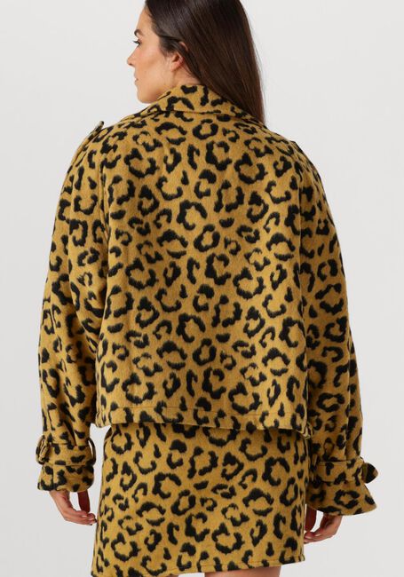 Ocker AMAYA AMSTERDAM Jack LOTUS - large