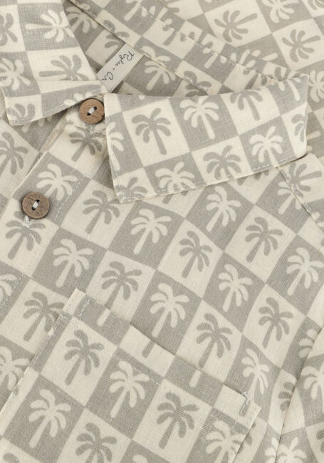Taupe RYLEE + CRU Casual-Oberhemd COLLARED SHORT SLEEVE SHIRT PALM CHECK - large
