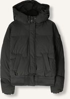 Schwarze AIRFORCE Wattierte Jack FRG1089 Schwarze AIRFORCE Wattierte Jack FRG1089 - medium