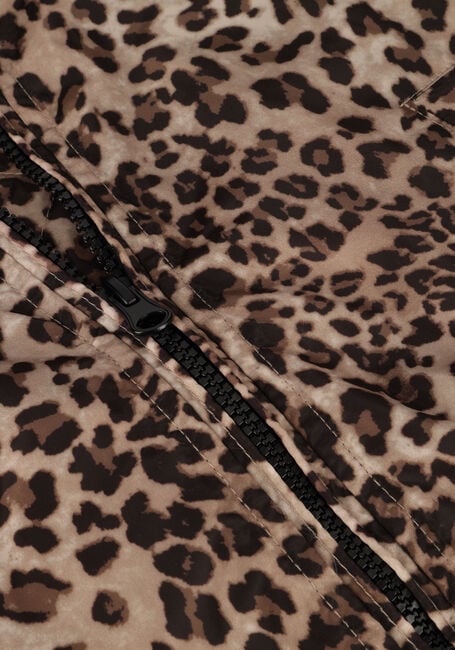 Braune CARS JEANS Jack YELSA - large