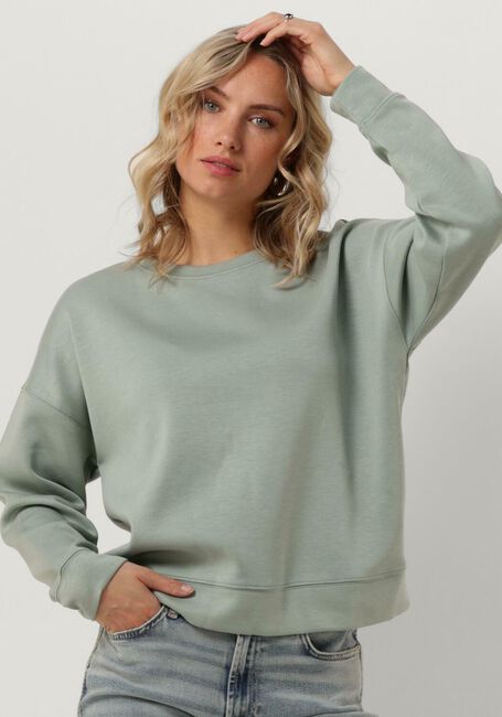 Grüne MSCH COPENHAGEN Sweatshirt MSCHIMA Q SWEATSHIRT - large