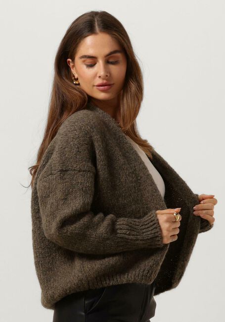 Taupe KNIT-TED Strickjacke BECKY - large