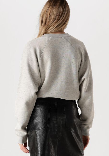 Graue CATWALK JUNKIE Pullover RELAXED RAGLAN SLEEVE SWEATER WITH STRASS - large