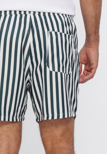 Gr&uuml;ne POCKIES Badehosen STRIPE SHORTIES - large