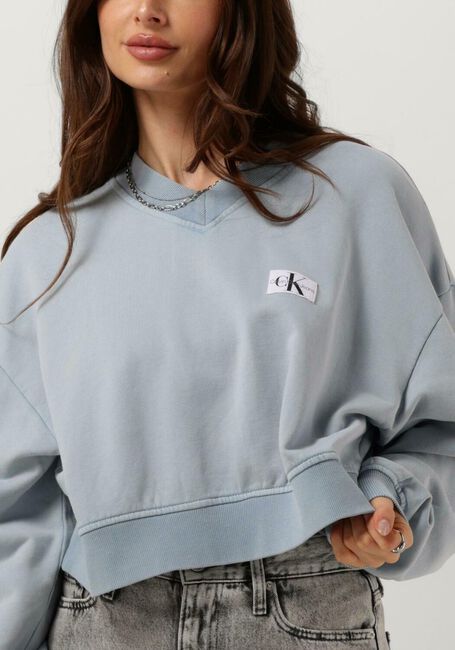 Hellblau CALVIN KLEIN Pullover WOVEN LABEL WASHED V-NECK - large