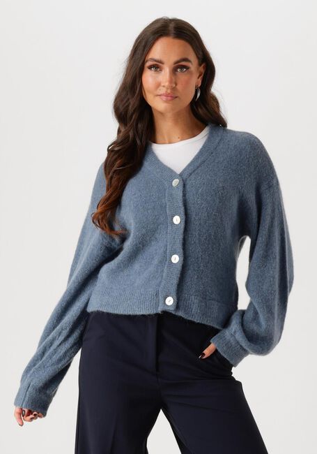 Dunkelblau MSCH COPENHAGEN Strickjacke MSCHPETRINELLE HOPE CARDIGAN - large