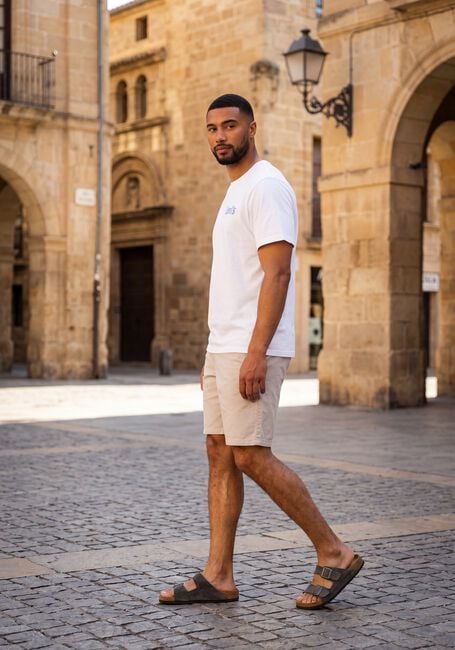 Graue JC RAGS Kurze Hose SHORT AUSTIN - large