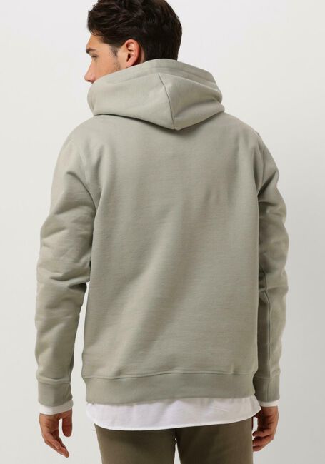 Grüne TOMMY JEANS Pullover TJM REG BOLD CLASSICS HOODIE EXT - large