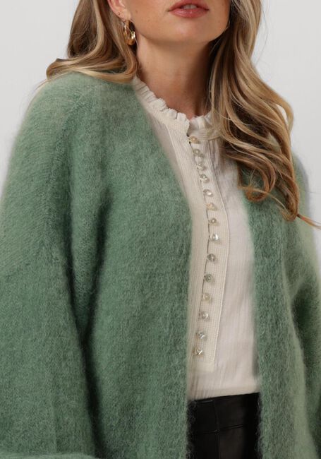 Grüne AMERICAN DREAMS Strickjacke LEE MIDI CARDIGAN - large
