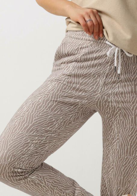 Taupe MOSCOW Hose 72-02-SUNNY - large