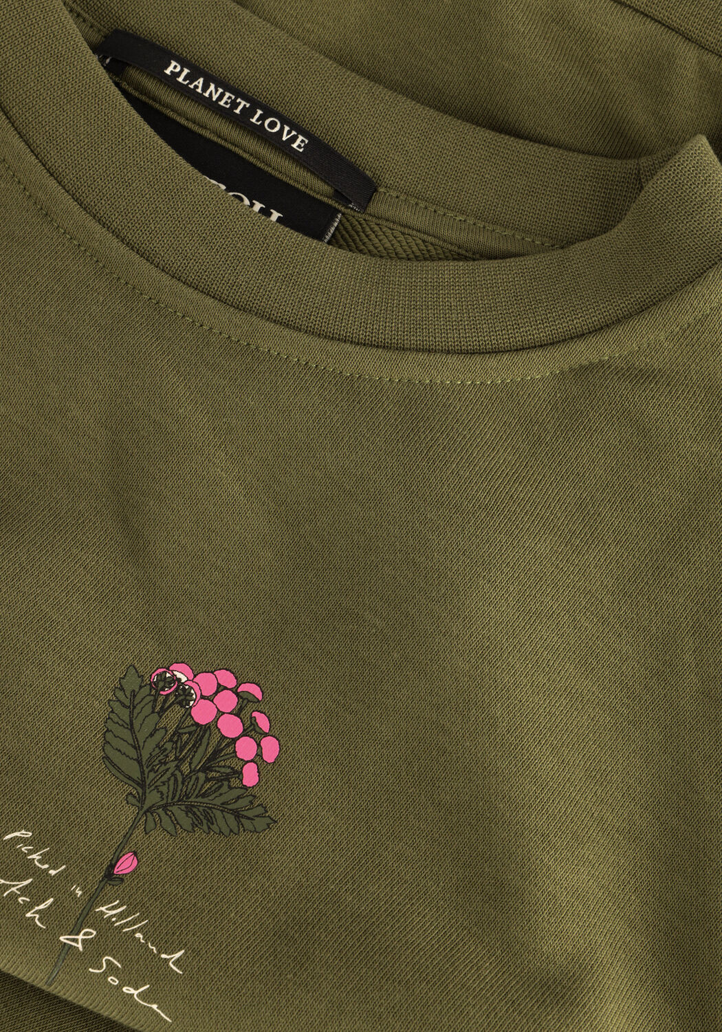 Gr&uuml;ne SCOTCH & SODA Sweatshirt REGULAR FIT CREWNECK SWEATER - large