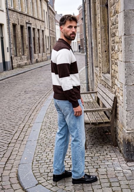 Braune SAINT STEVE Pullover DOMINIQUE - large