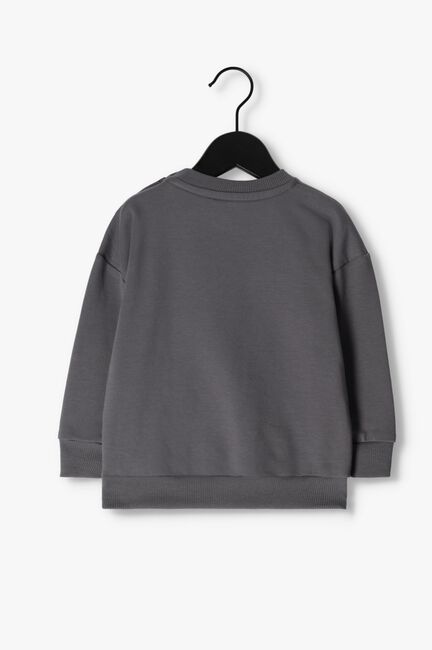 Graue Z8 Sweatshirt TAIO - large