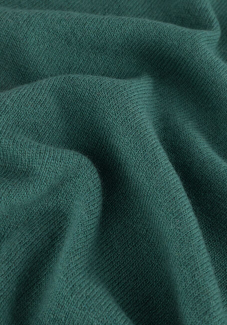 Grüne VANILIA Pullover MAGNOLIA ROUND NECK - large