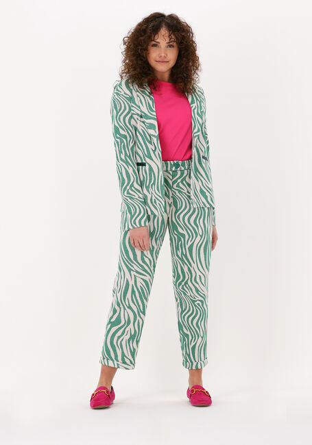 Grüne SILVIAN HEACH Hose BUZZIP - large