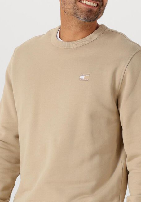 Beige TOMMY JEANS Pullover TJM REG BADGE CREW EXT - large